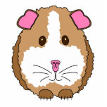 Brown Guinea Pig photo sculptures