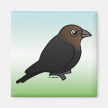 Brown-headed Cowbird Fridge Magnet