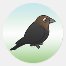 Brown-headed Cowbird Round Sticker