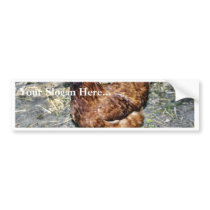 Brown Hen On The Back Yard Bumper Stickers