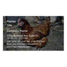 Brown Hen On The Back Yard Business Card Templates