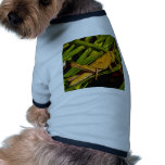 Brown Hopper pet clothing