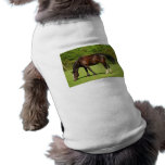 Brown Horse Pet Shirt