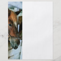 Brown Horse in Stall Flyer