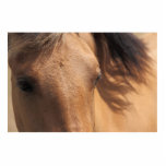 Brown Horse Photo Sculptures