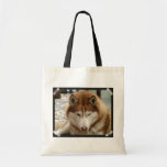 Brown Husky  Small Bag