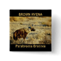 Brown hyena wildlife badges buttons