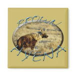 Brown Hyena wildlife safari magnets