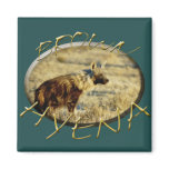 Brown Hyena wildlife safari magnets