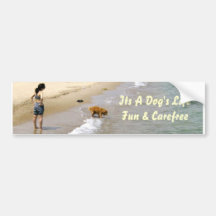 Brown Labrador Having Fun in the Water Bumper Sticker