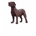 Brown Labrador TShirt
