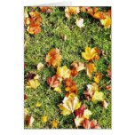 Brown Leaves Laying On The Grass Greeting Card