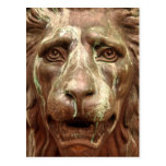 Brown Lion Postcard