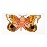 Brown Moth