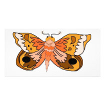 Brown Moth