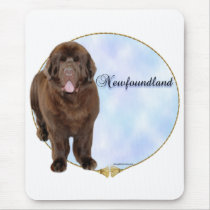 Brown Newfoundland Portrait