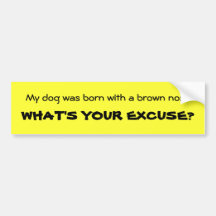 Brown Noser, What's Your Excuse? Bumper Sticker