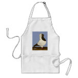 Brown Nun Pigeon Aprons