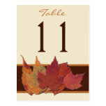 Brown Orange Ivory Dried Leaves Table Number Card Postcard