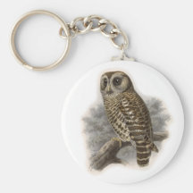 Brown Owl Key Chains