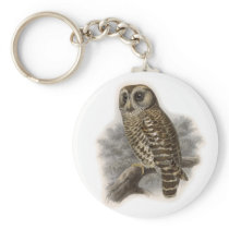 Brown Owl