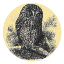 Brown Owl Sleeping Sticker