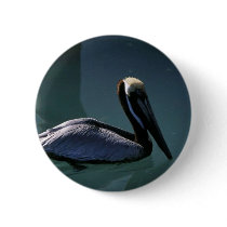 Brown Pelican Pinback Button