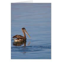 Brown Pelican Greeting Card