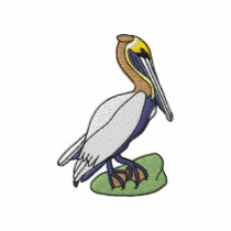 Brown Pelican