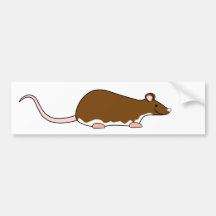 Brown Pet Rat. Berkshire, White Belly. Bumper Sticker