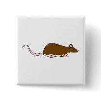 Brown Pet Rat. Berkshire, White Belly. Pinback Buttons