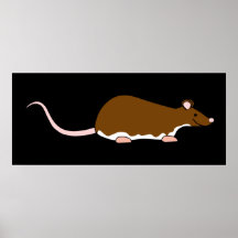 Brown Pet Rat. Berkshire, White Belly. Poster