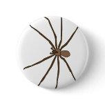 brown recluse spider button