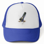 Brown’s Parrakeet by Edward Lear hats