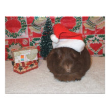 Brown Santa Pig Custom Invitation