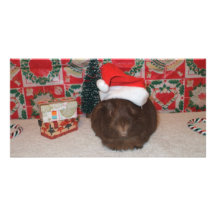 Brown Santa Pig Customized Photo Card