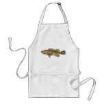 Brown-Spotted Rock Cod - Epinephelus tauvina aprons