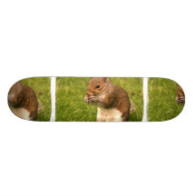 Brown Squirrel  Skateboard