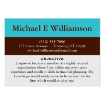 Brown Stripe Blue RESUME Business Cards