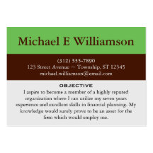 Brown Stripe Green RESUME Business Cards