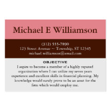 Brown Stripe Pink RESUME Business Cards