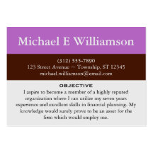 Brown Stripe Purple RESUME Business Cards