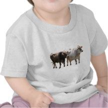 Brown Swiss Cows Tee Shirts