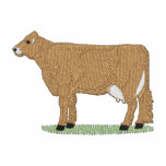 Brown Swiss Embroidered Jacket