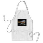BROWN THRASHER in Color Pencil: Art Aprons