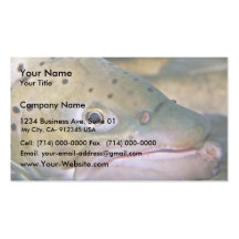 Brown trout business card
