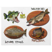 Brown Trout Custom Flyer
