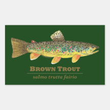 Brown Trout Latin Ichthyology Stickers