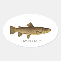 Brown Trout Logo Oval Sticker