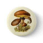 Brown Vintage Mushroom buttons
